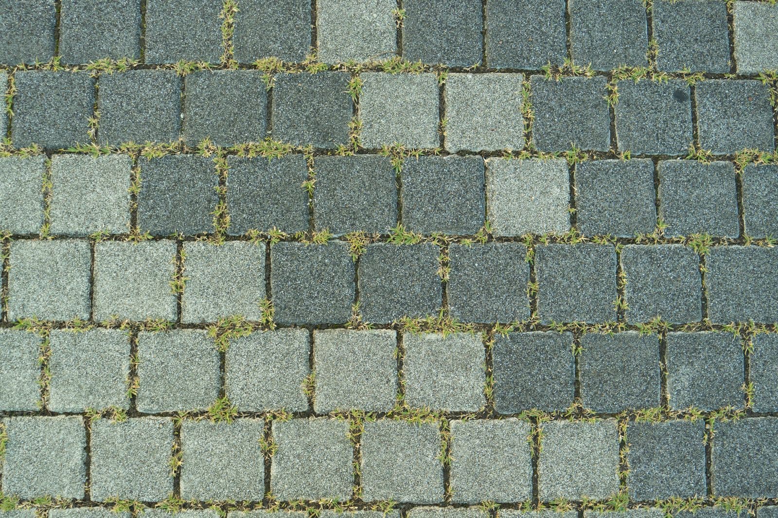 Kwadratowa kostka w dwóch odcieniach szarości, w fugach przerośnięta trawa.